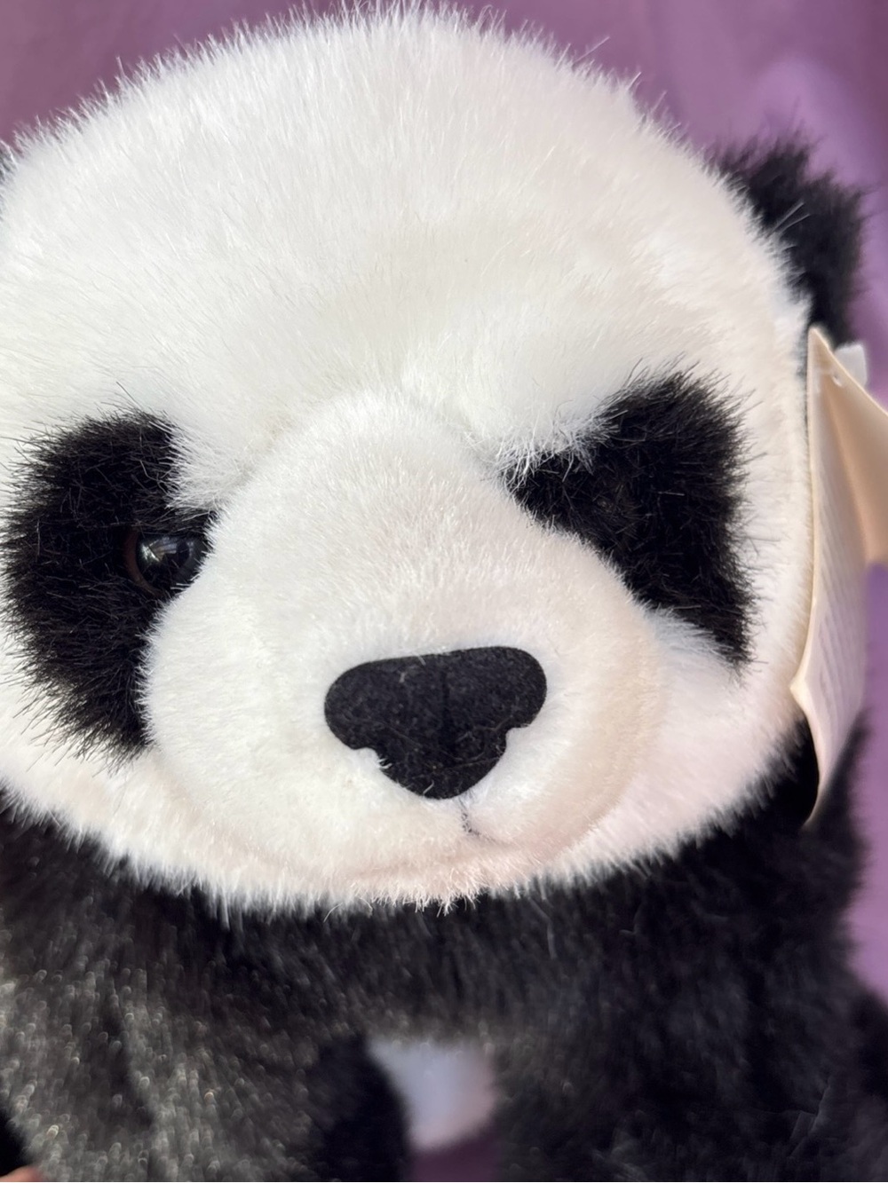 Aurora Giant PANDA HUA MEI San Diego ZOO endangered 1999 NWT - Picture 7 of 10